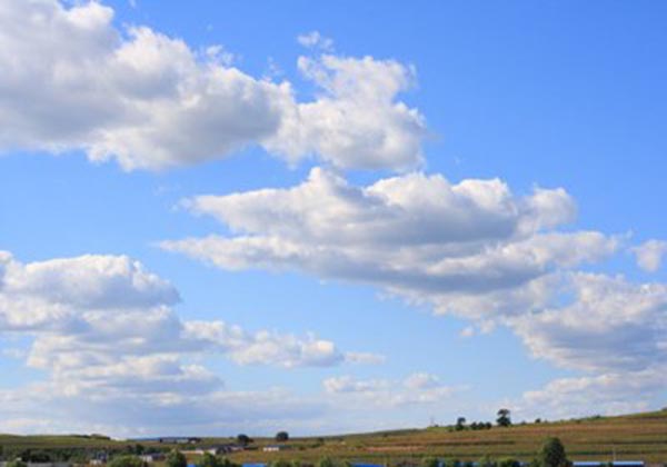 5d91948d4e319.jpg