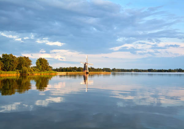 5d9da690d360b.jpg